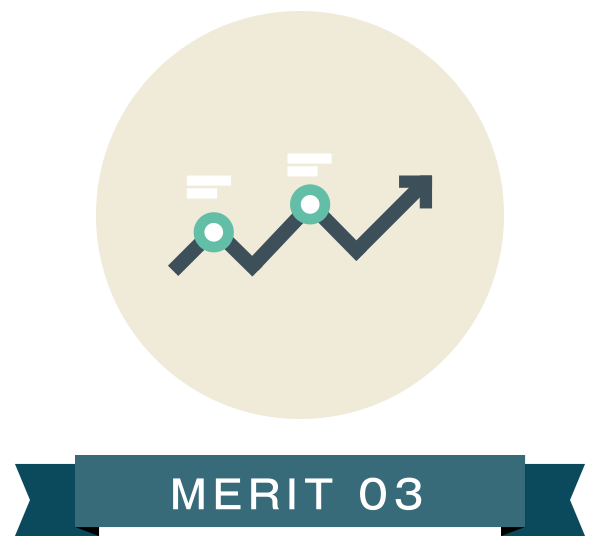 MERIT 03