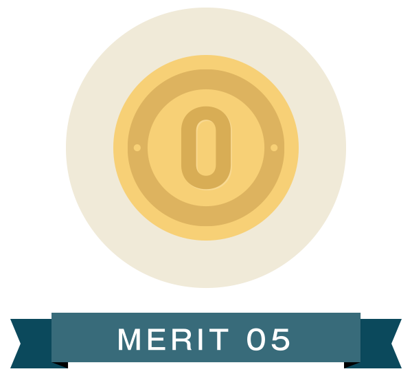 MERIT 05