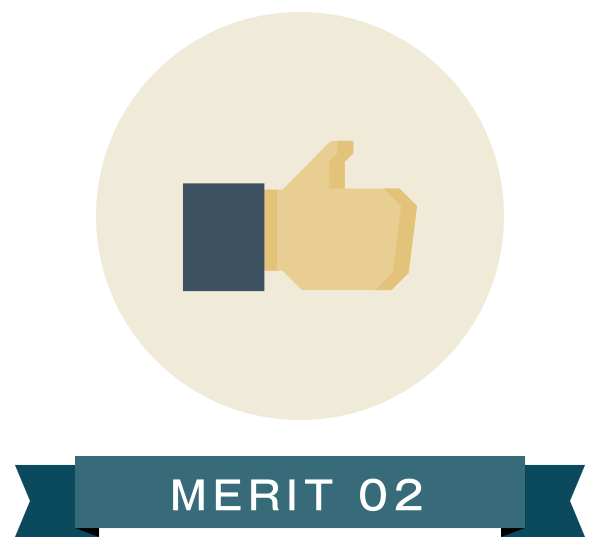 MERIT 02