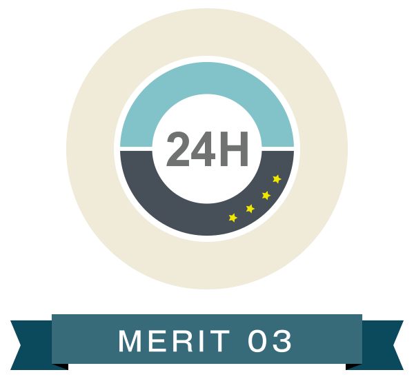 MERIT 03