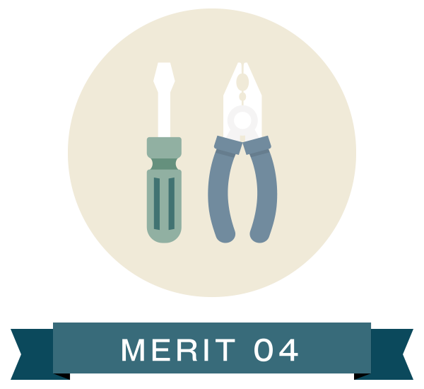 MERIT 04