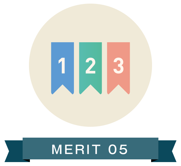 MERIT 05