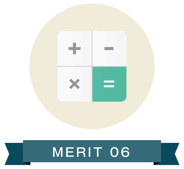 MERIT 06