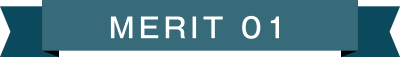 MERIT 01
