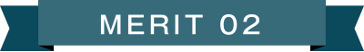 MERIT 02