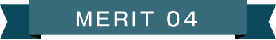 MERIT 04