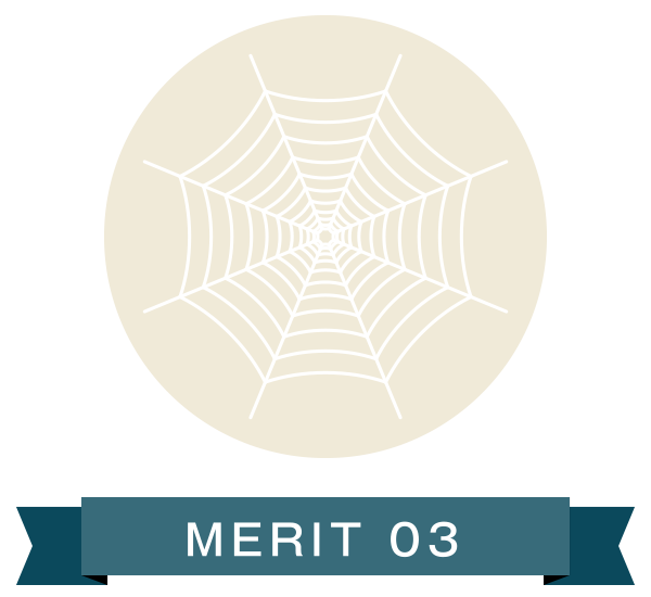 MERIT 03