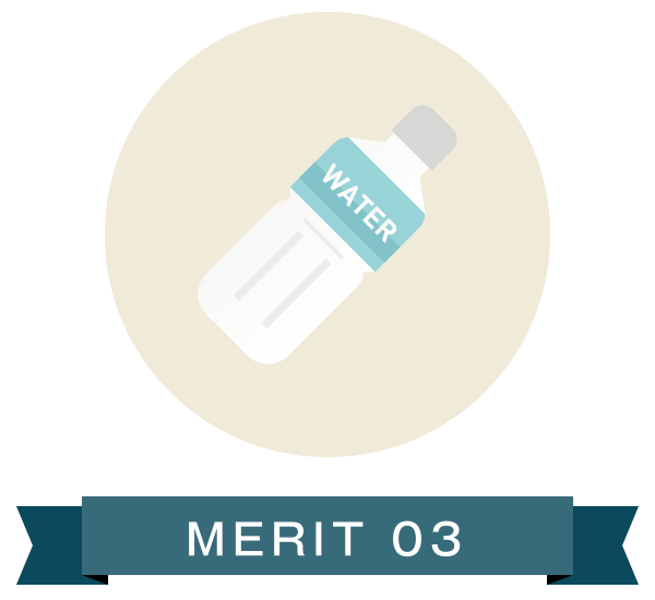 MERIT 03