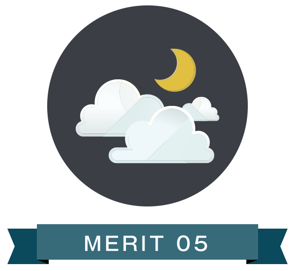 MERIT 05